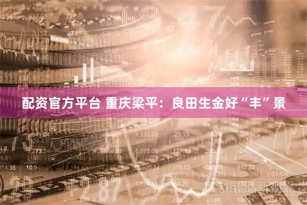 配资官方平台 重庆梁平：良田生金好“丰”景