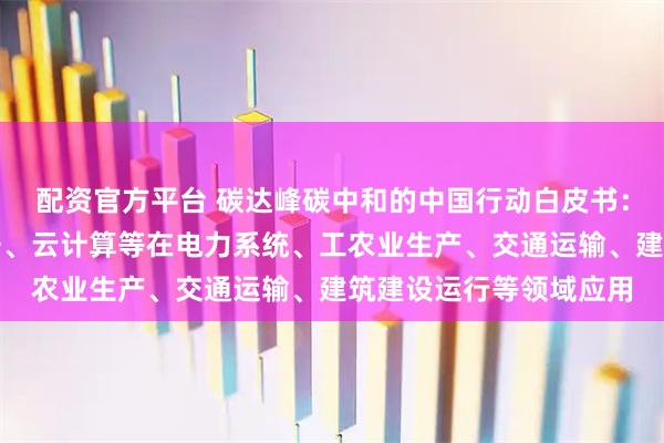 配资官方平台 碳达峰碳中和的中国行动白皮书：深化人工智能、大数据、云计算等在电力系统、工农业生产、交通运输、建筑建设运行等领域应用