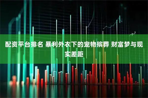 配资平台排名 暴利外衣下的宠物殡葬 财富梦与现实差距