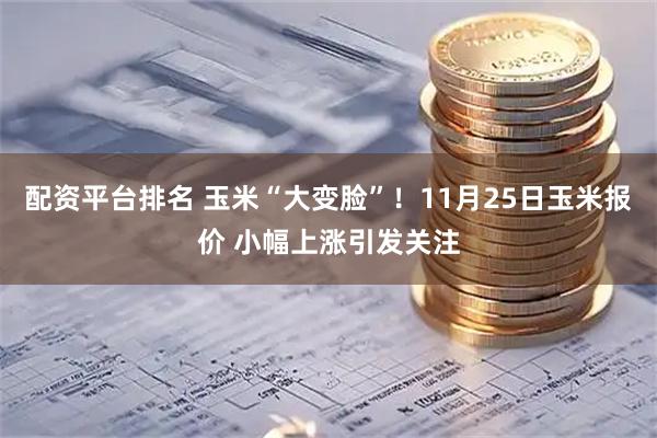 配资平台排名 玉米“大变脸”！11月25日玉米报价 小幅上涨引发关注