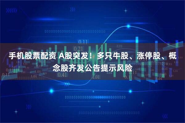 手机股票配资 A股突发！多只牛股、涨停股、概念股齐发公告提示风险